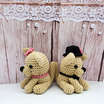 Chihuahua Couple