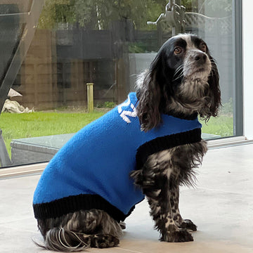 Designer Dog Coat and Cat Coat