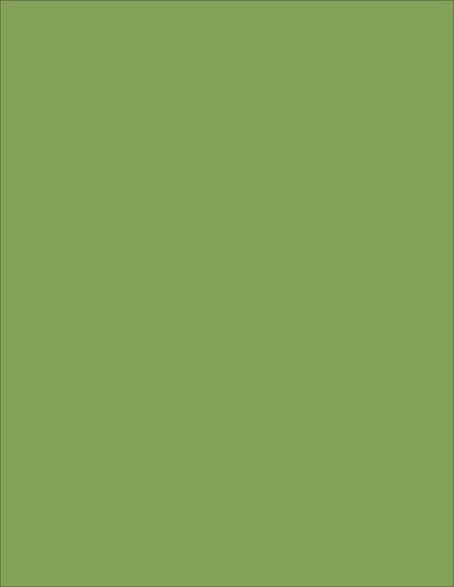 Hero Arts Hero Hues Premium 8.5"X11" Cardstock 10/Pkg - Meadow