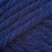 Fort Worth Blue (109)