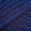 Fort Worth Blue (109)