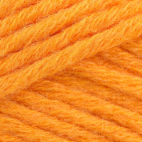 Apricot (137)