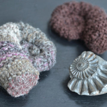 Ammonite