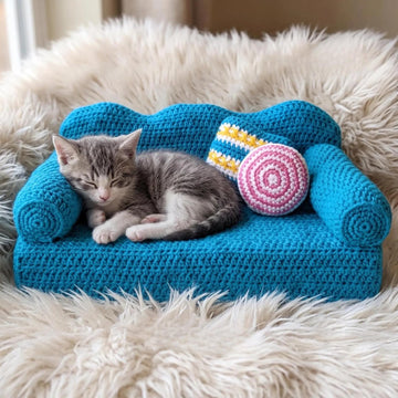 Cat couch