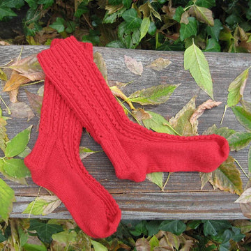 Lady In Red, Socks