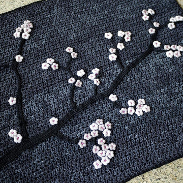 Cherry Blossoms