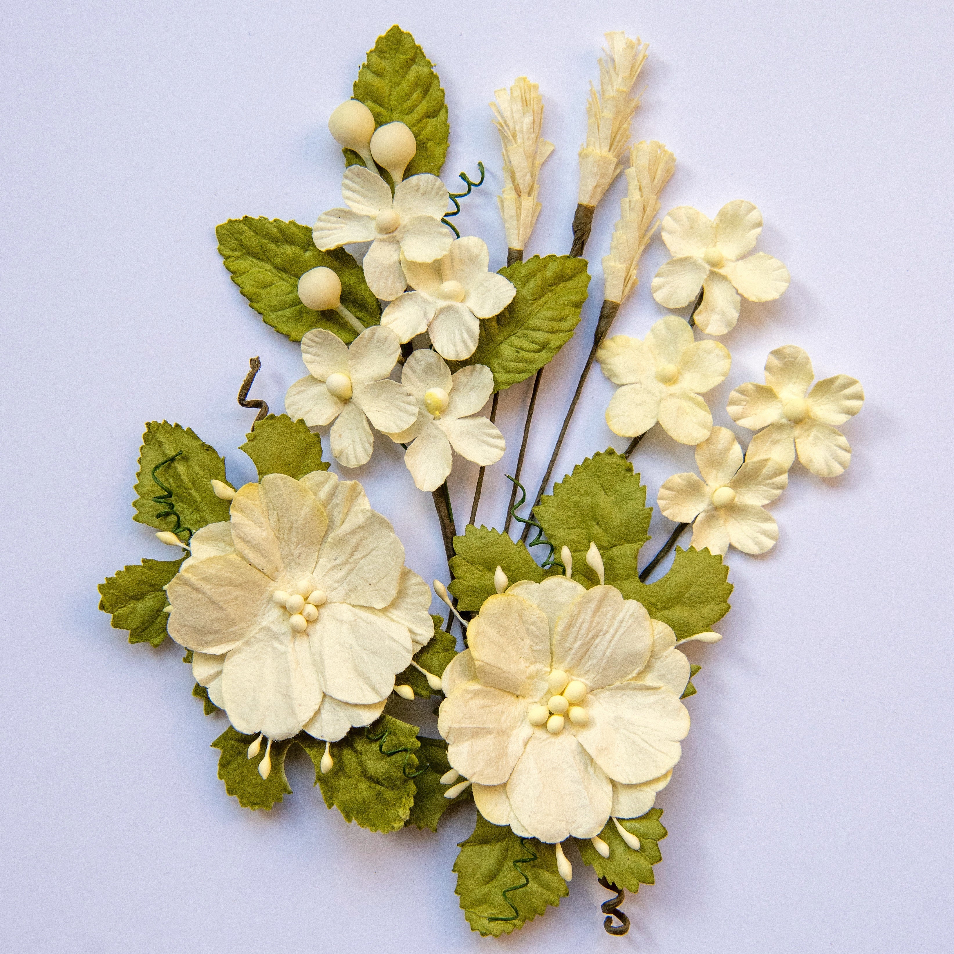 49 And Market Wildflowers 8/Pkg - Cream