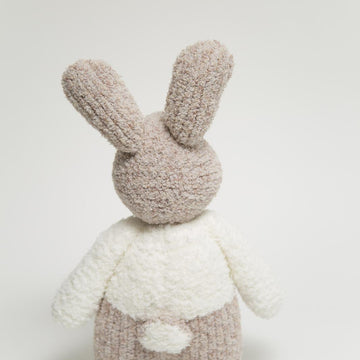 Rhian the Rabbit