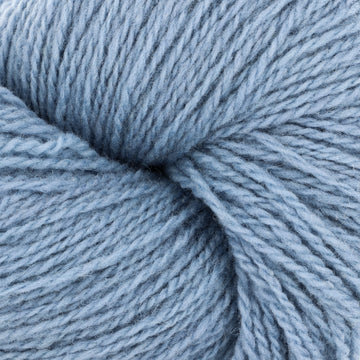 Hydrangea (138)