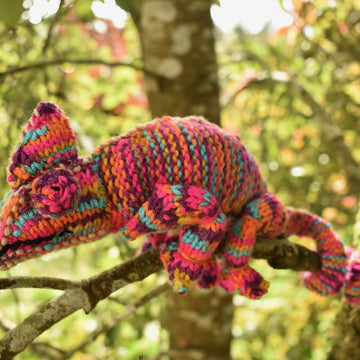 Chameleon