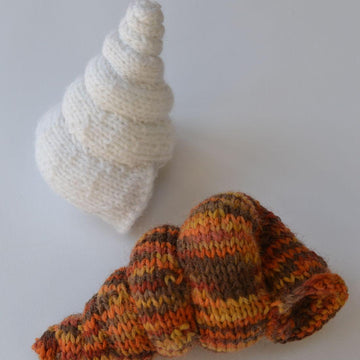 Spiral Shells