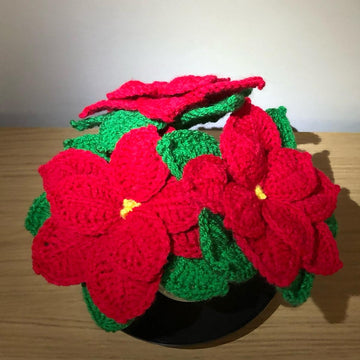 Poinsettia and Pot