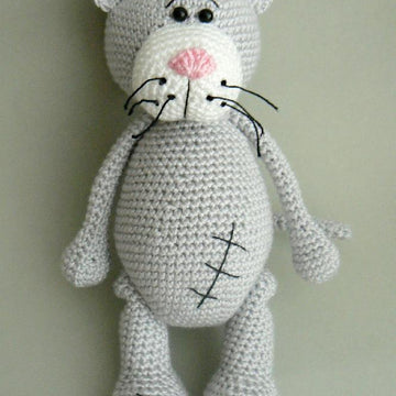 Grey cat