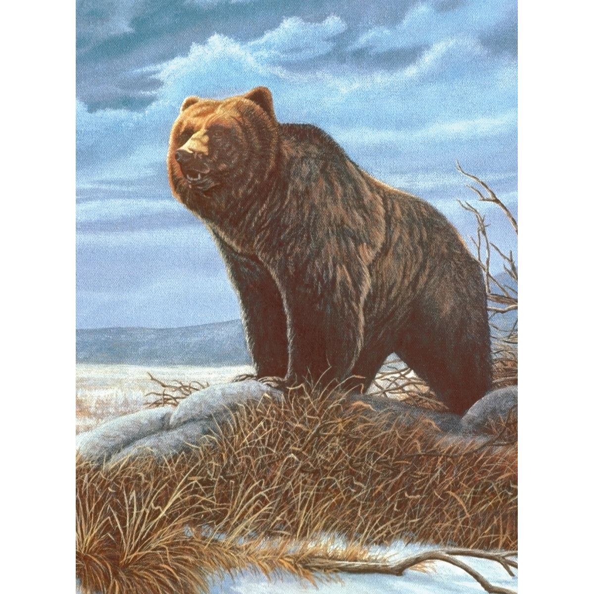 Royal Brush Junior Small Paint By Number Kit 8.75"X11.75" - Grizzly Bear