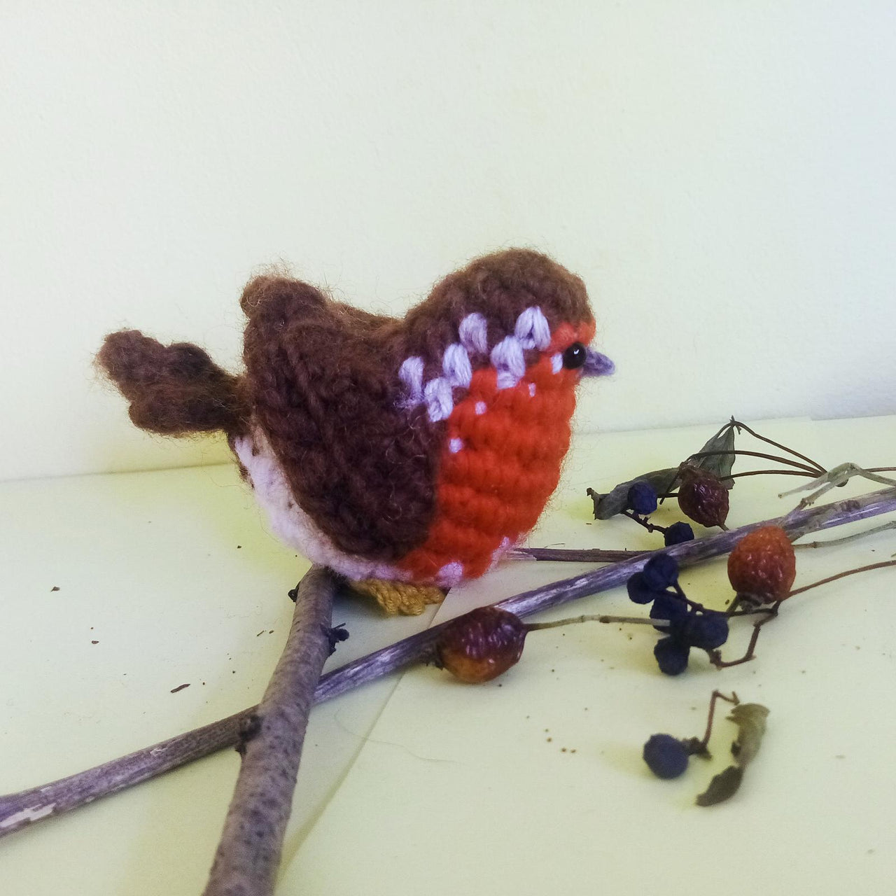 European Robin