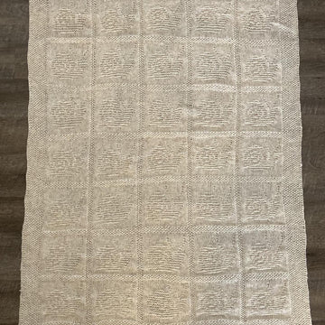 Marking Its Trail Snail Blanket