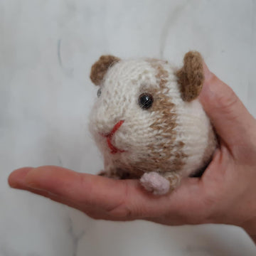 Guinea pig