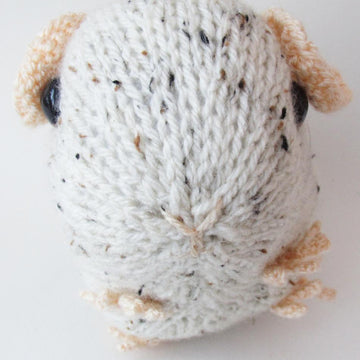 Guinea Pig Toy