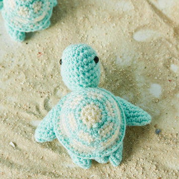 Sea Turtles