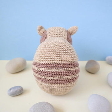 Arlo the Armadillo Amigurumi