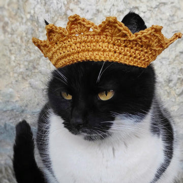 Crochet Crown