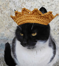 Crochet Crown