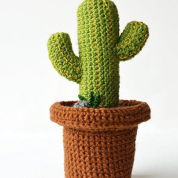 Desert Cactus Amigurumi Crochet Pattern