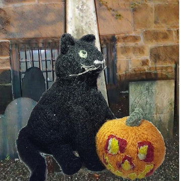 Halloween: black cat & jack-'o-lantern