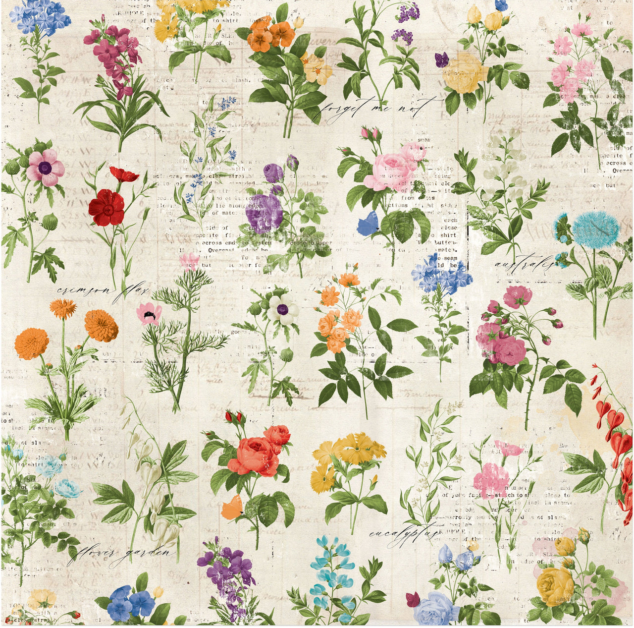 American Crafts Botanical Journal Double-Sided Cardstock 12"X12" 25/Pkg - Arrangement