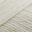 Parchment