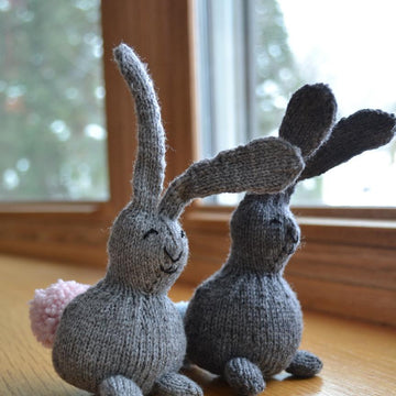 Mini-Bunny Loves