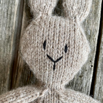 Vera / Victor the Bunny