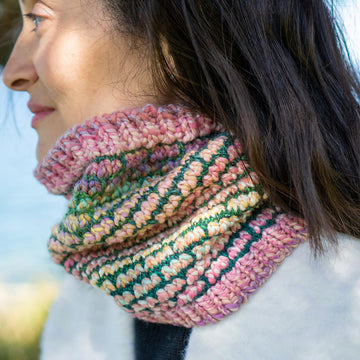 Tulip Fields Cowl