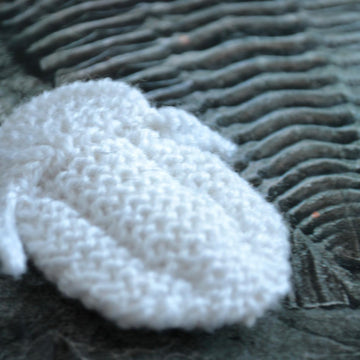 Trilobite