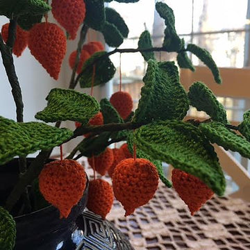 Chinese Lantern