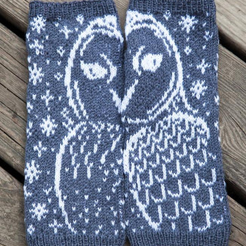 The Snow Owl