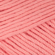 Salmon (021)