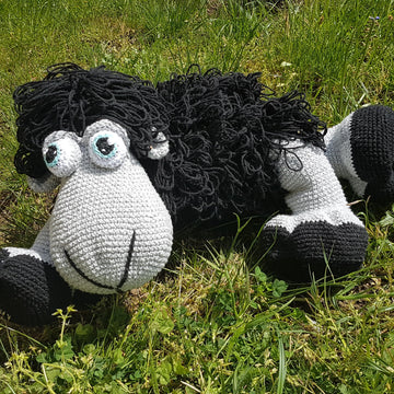 Daisy the sheep