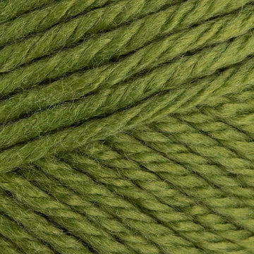 Grasshopper (164)