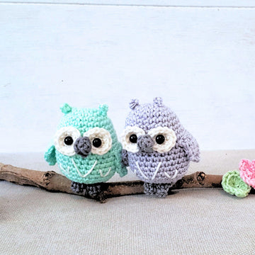 Owls couple on a branch