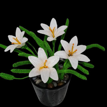 Rain Lily flower
