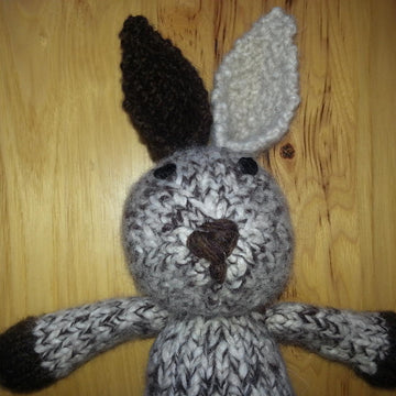 Bunny rabbit