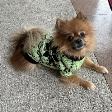 Snowy pup Sweater