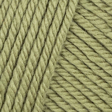 Basil (12)
