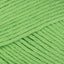 Grass (082)