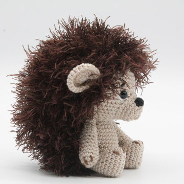 Baby Hedgehog