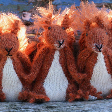 Red Squirrel Sisters