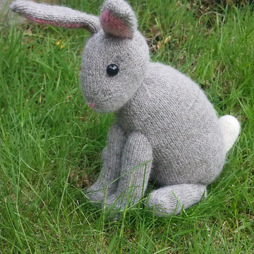 Betty Bunny