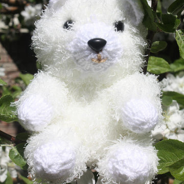 Polar Bear