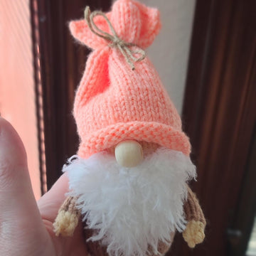 A Gnome of Many Hats